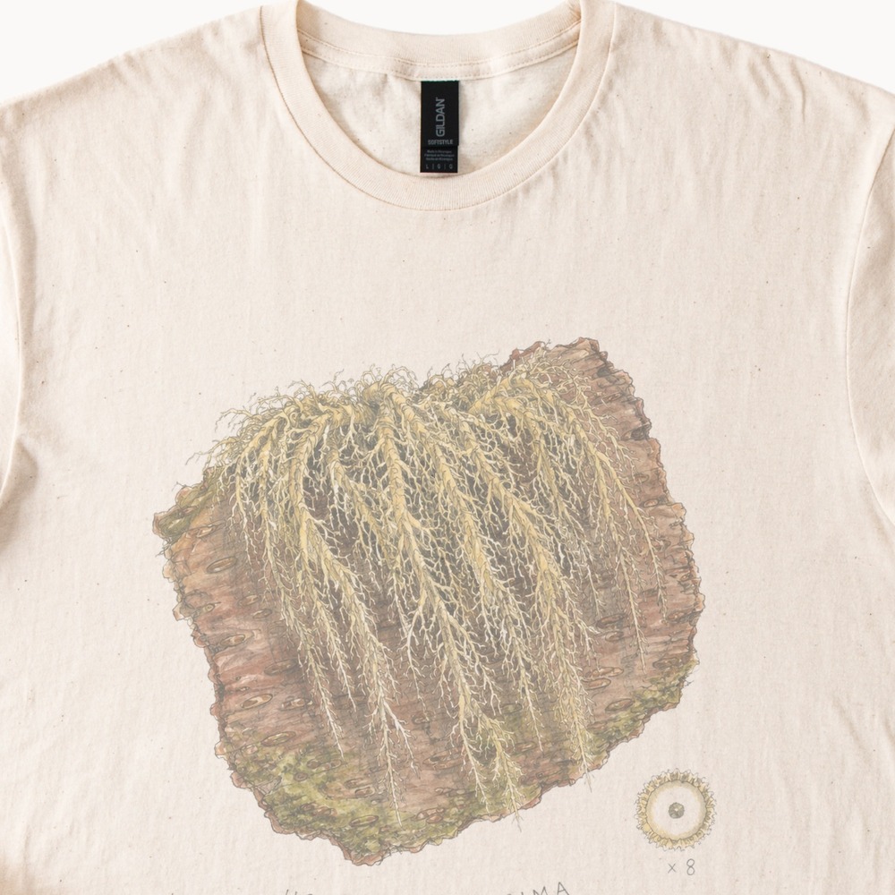 Usnea Longissima Graphic Tee Natural Nature Design for Eco Lovers